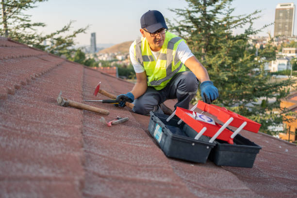 Best Stucco Siding  in Watertown, FL